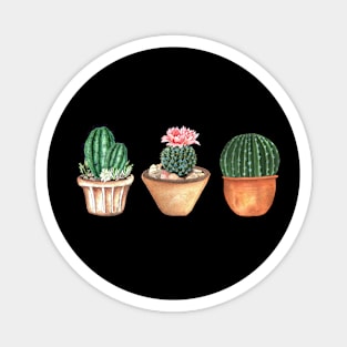 Three potted cactus Magnet